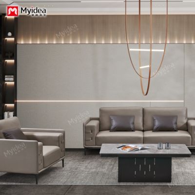 Αγορά Μοντέρνος απλός καναπές γραφείου, αίθουσα συσκέψεων, VIP περιοχή, επιχειρηματική υποδοχή, VIP δωμάτιο, χώρος διαπραγματεύσεων και αναψυχής, συνδυασμός καναπέδων online manufacture