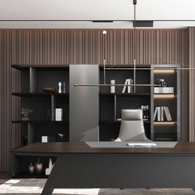 Dark Colored Large Storage Cabinet, Boss Space, Back Cabinet, Display Cabinet, Foshan Furniture