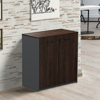 Dark-toned Modern Design Eco-Friendly Filing Cabinet for Office Space Use Easy Assembly Factory wholesale
